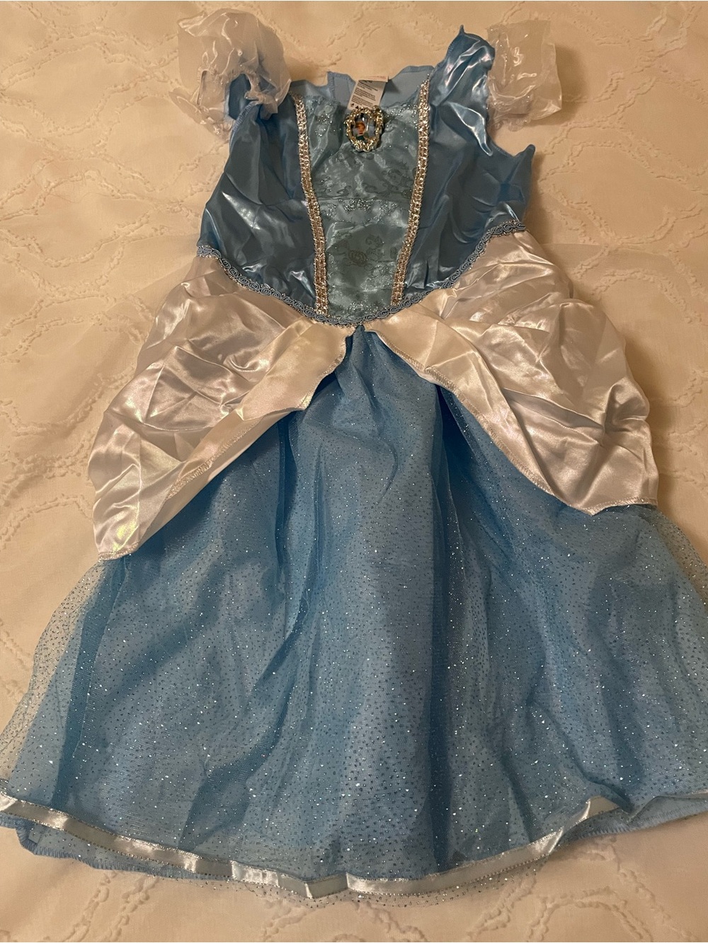 Disney Princess Cinderella costume
